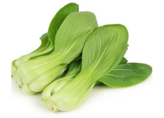 Bok Choy Baby