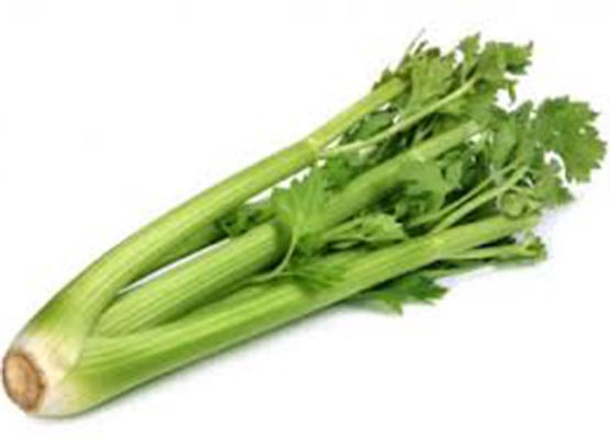 Celery