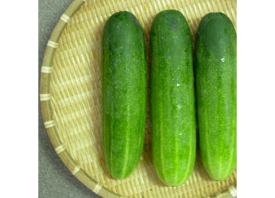 Khmer Cucumber