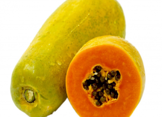 Holland Papaya Seed